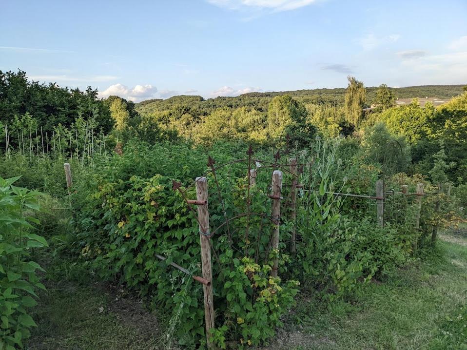 La Jardiniere Bed & Breakfast Érezée Екстериор снимка